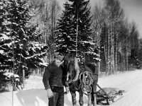 Antero Salminen ja Seppo  Antero Salminen palailee Sepon kanssa kotiin metsäajoista 60-luvun alkupuolella. Hevosmieheltä vaadittiin Vekkulan vuorissa taitoa tuoda tonnienkin painoiset kuormat alas ilman haavereita: – Ei siellä haavereita juurikaan sattunut. No kerran Järvisen Väinön kuorma pysähtyi mäkeen, kun sillä oli kertynyt kauheesti lunta ja jarrupahnoja reen alle. No perässä tulleen Suomisen Kallen kuormaahan tuotatti sen jälkeen paljon herkemmin eikä siinä hevosen auttanu muuta ku nousta Väinön rekeen, kun se kuorma työnsi tulemaan. Onneksi se oli hyväjalakanen hevonen: se nosteli jalakojaan ja nousi kevyesti Väinön tukkikuorman päälle, jossa se sitten päästettiin valjaista, muistelee Antero erikoista episodia.